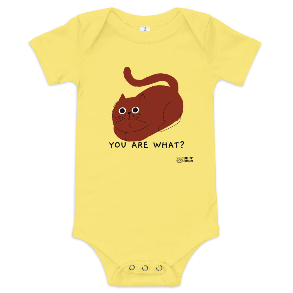 You are what? - Baby short sleeve one piece