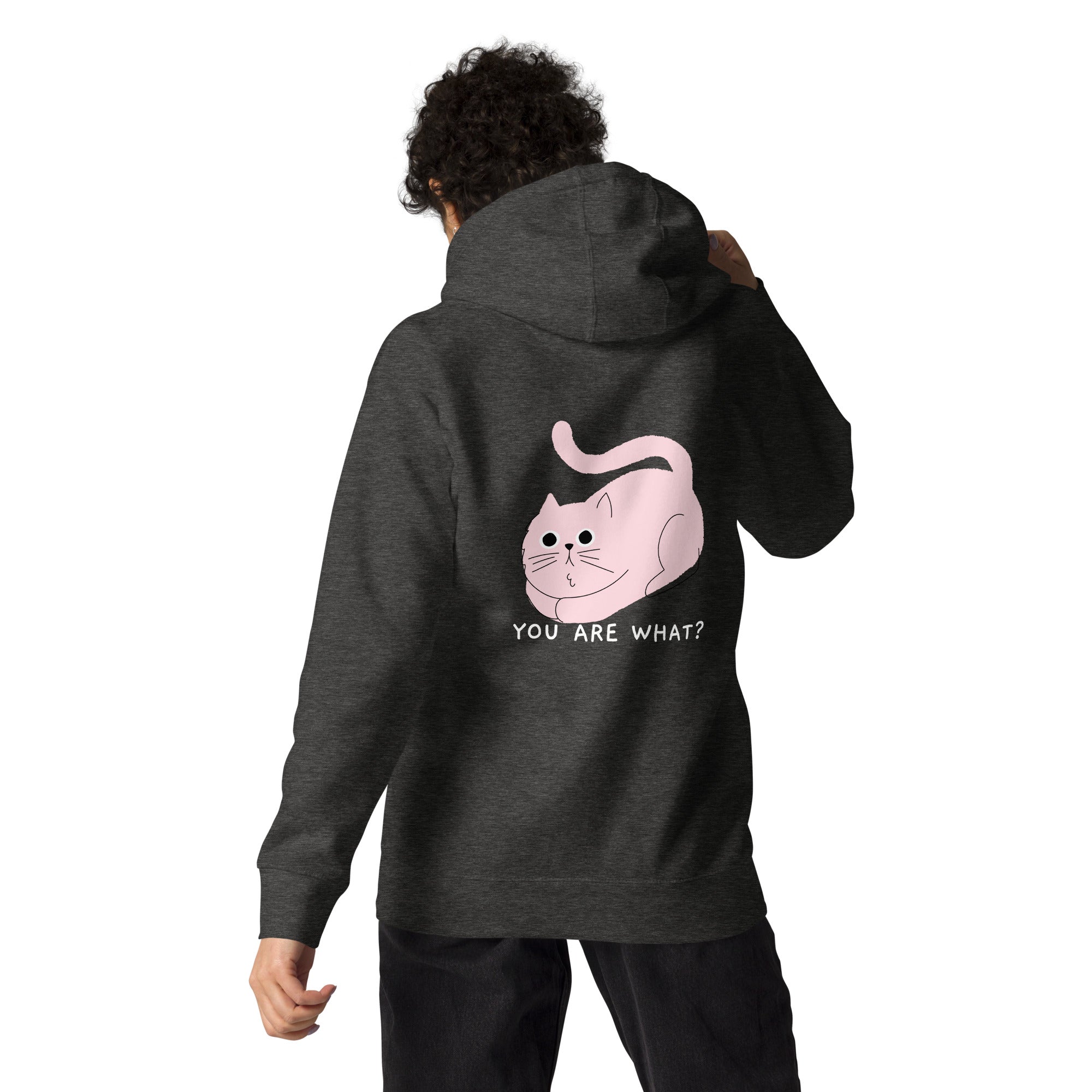 You are what? - Unisex Hoodie (back print)