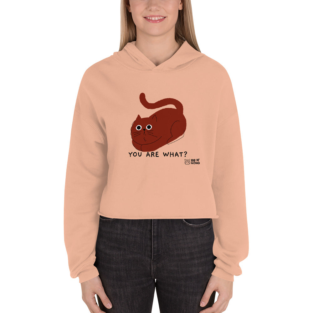 You are what? - Crop Hoodie