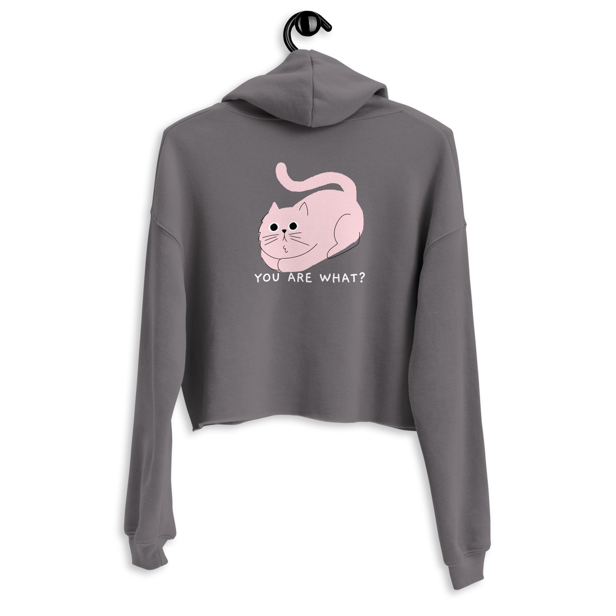 You are what? - Crop Hoodie (back print)
