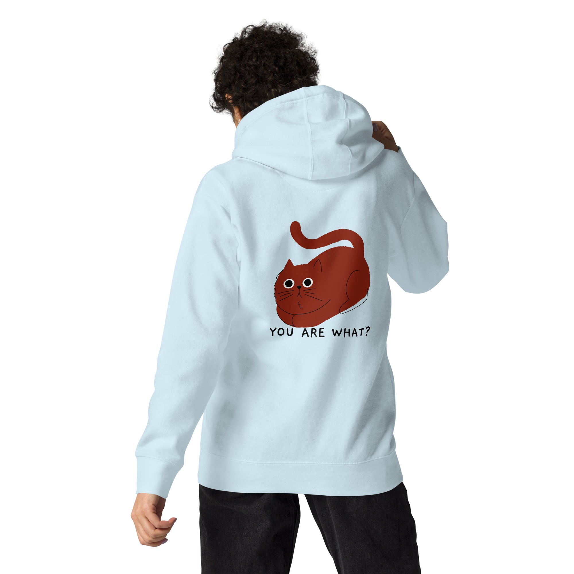 You are what? - Unisex Hoodie (back print)