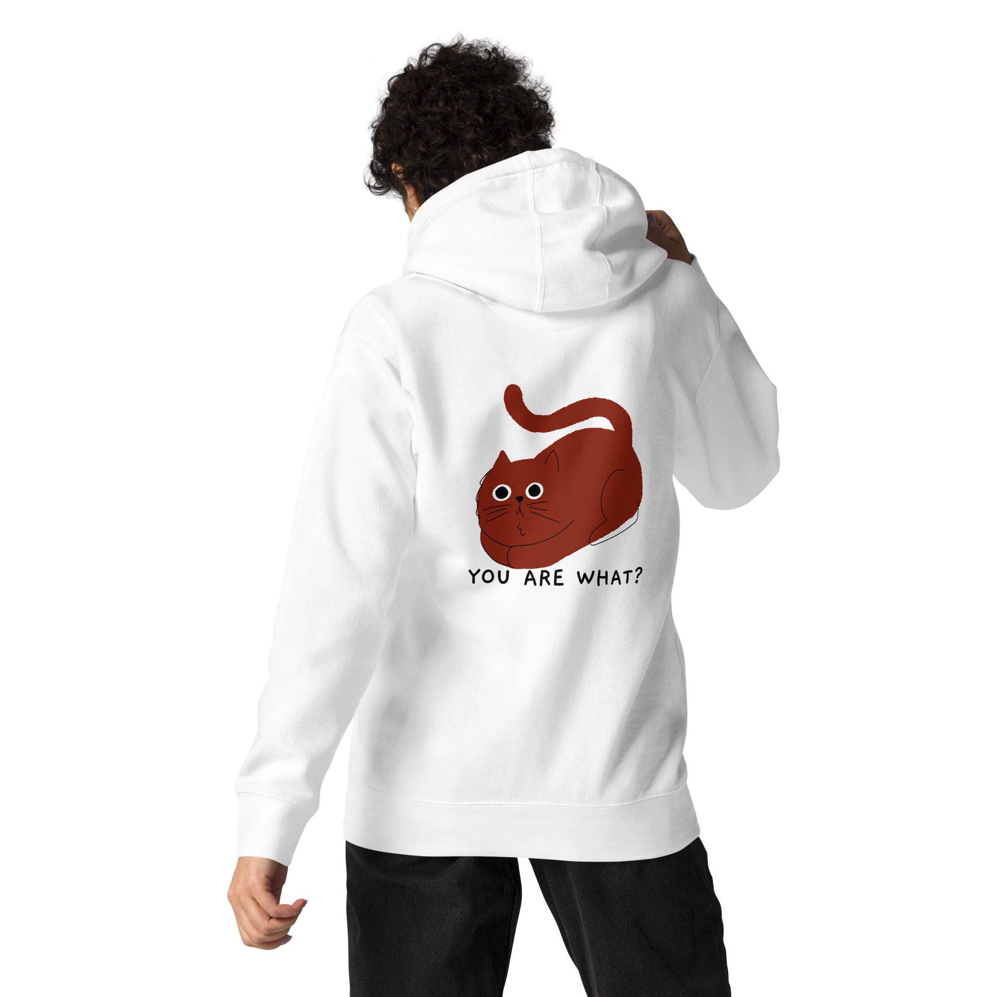 You are what? - Unisex Hoodie (back print)