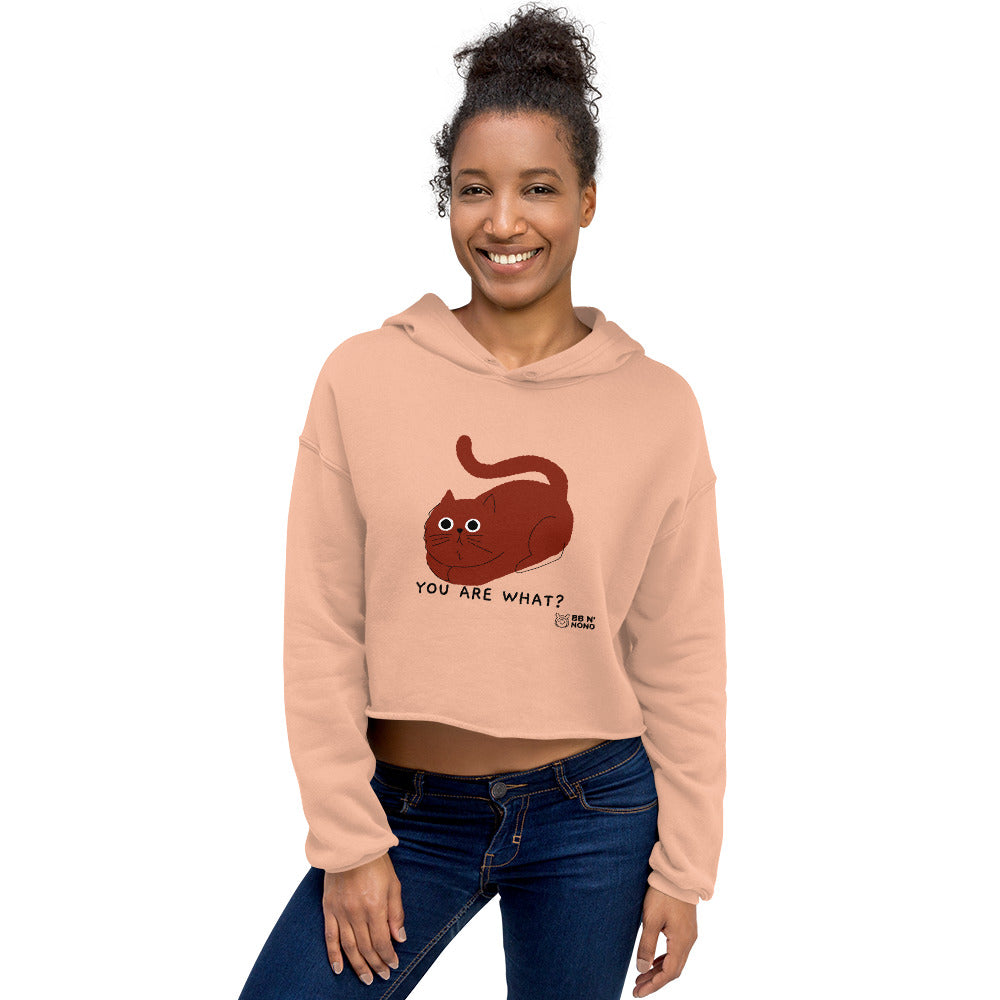 You are what? - Crop Hoodie